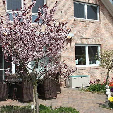 Panzió Haus Rheinblick 3*